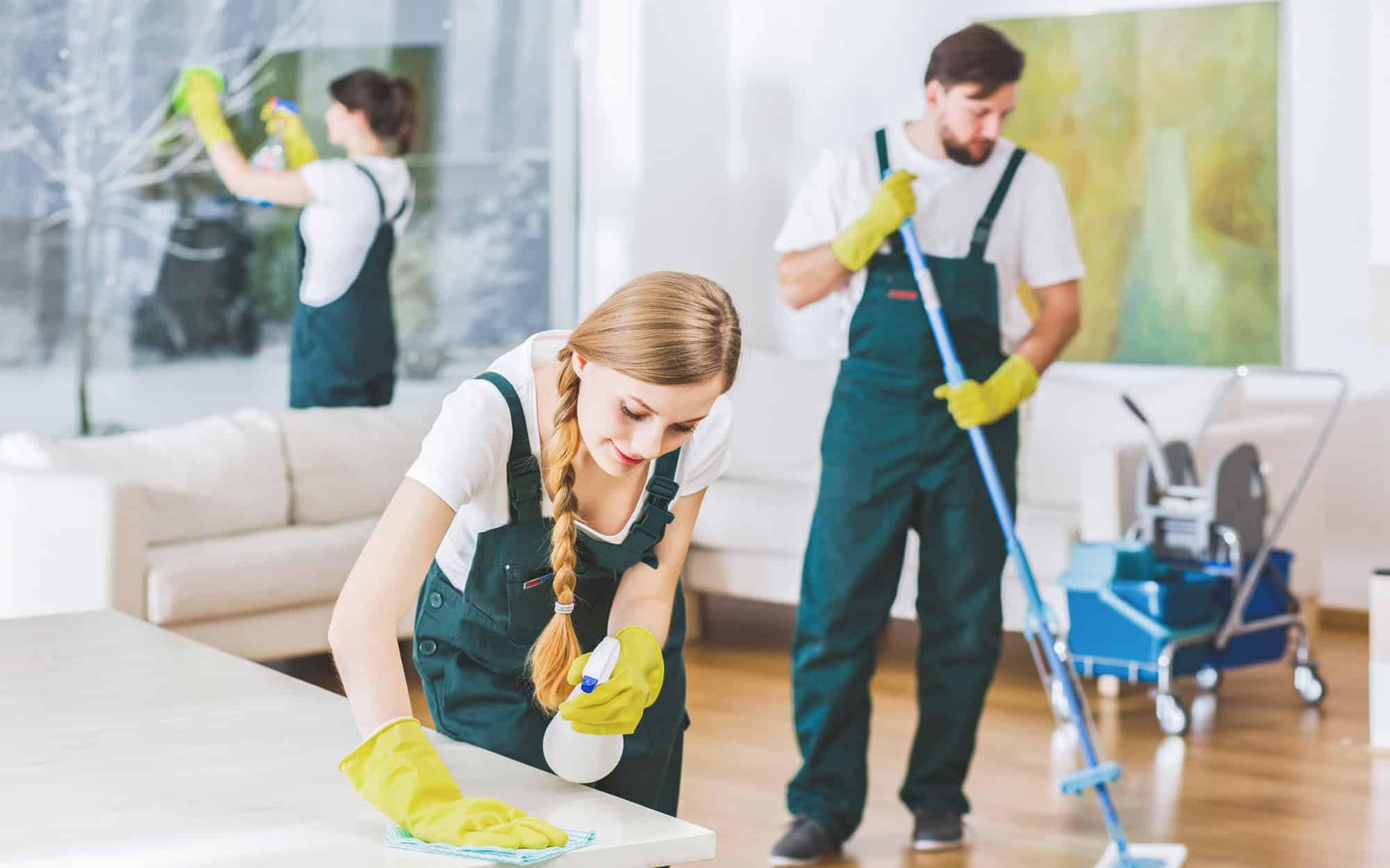 Professional Cleaners Team